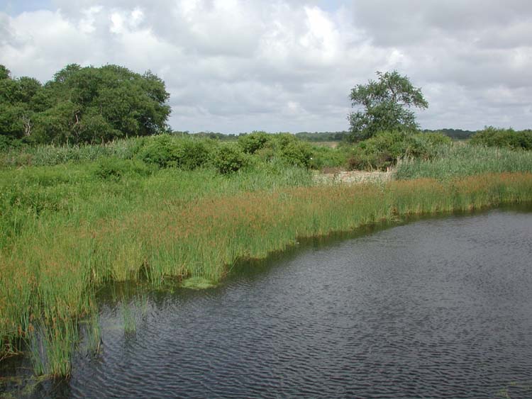 River at Dwyer Farm 3.jpg 70.5K